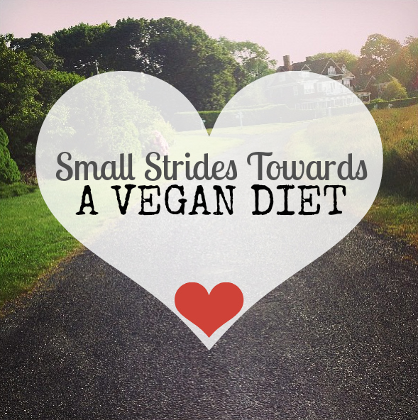 Becoming a Vegan Steps