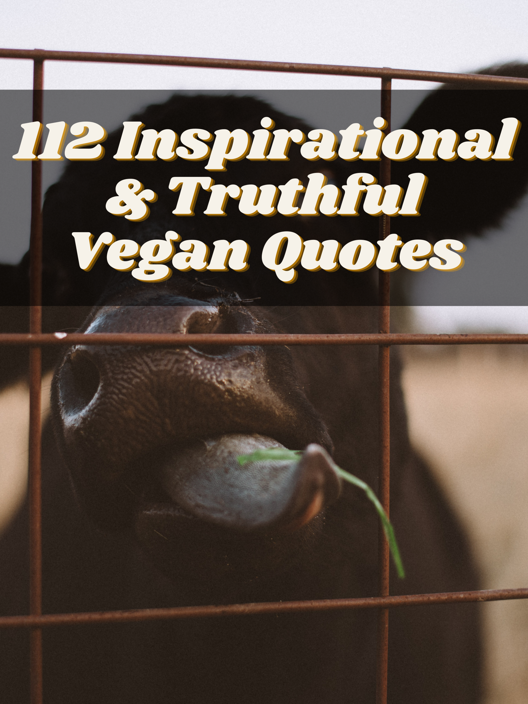 112 Inspirational + Truthful Vegan Quotes | The Friendly Fig