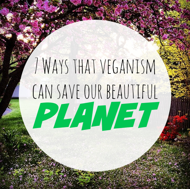 veganism and the environment