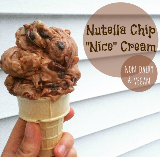 Vegan Nutella Ice Cream Recipe