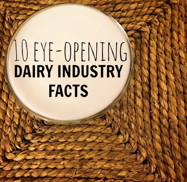 Eye-Opening Dairy Industry Facts