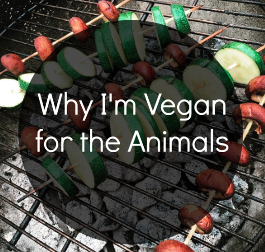 Vegan for Animals