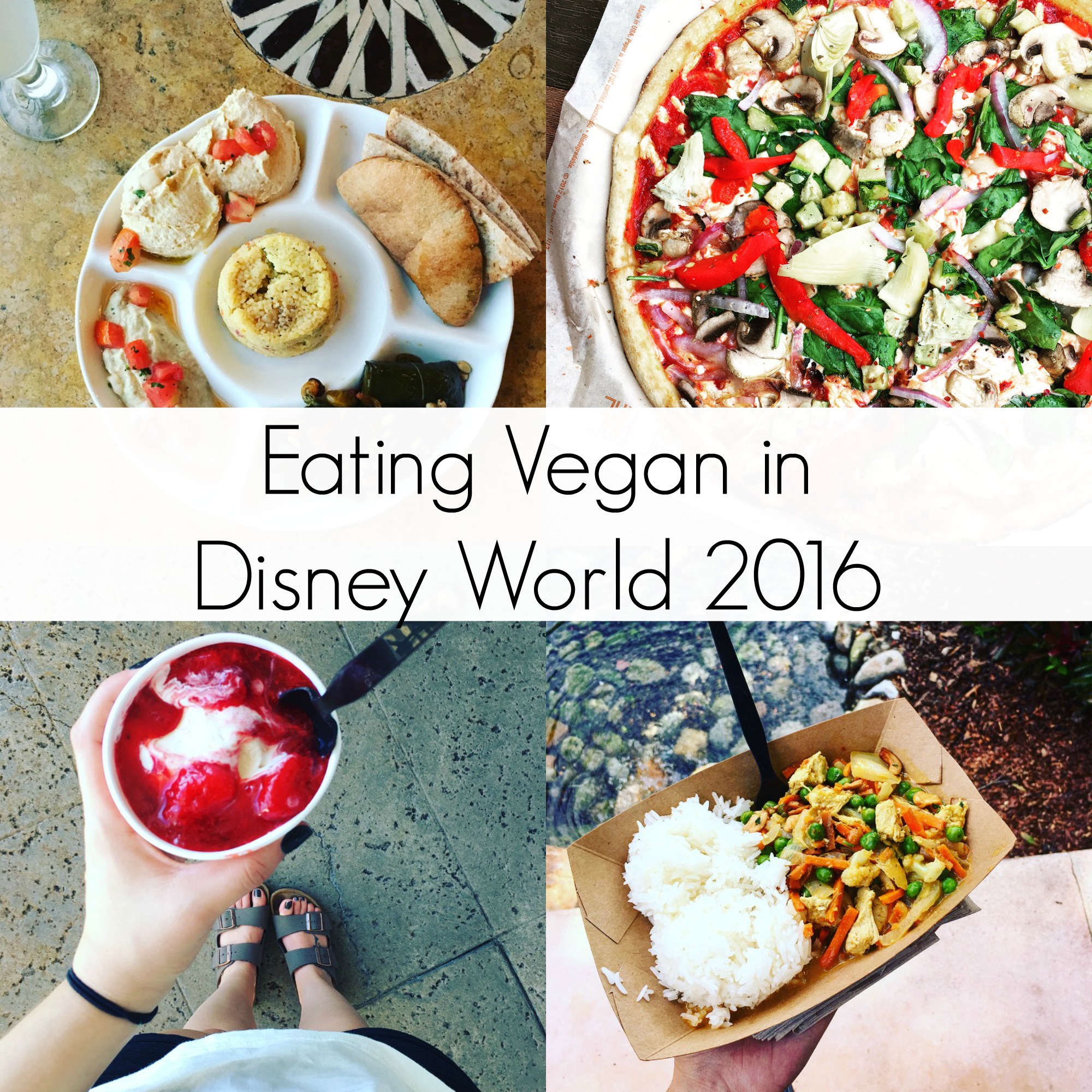 Eating Vegan in Disney World 2016