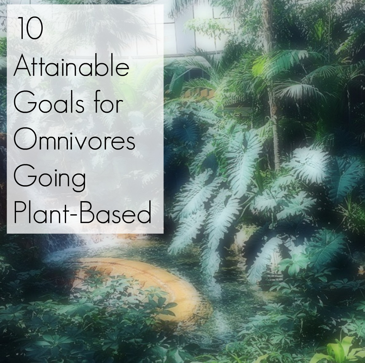 10 Attainable Goals for Omnivores Going Plant-Based