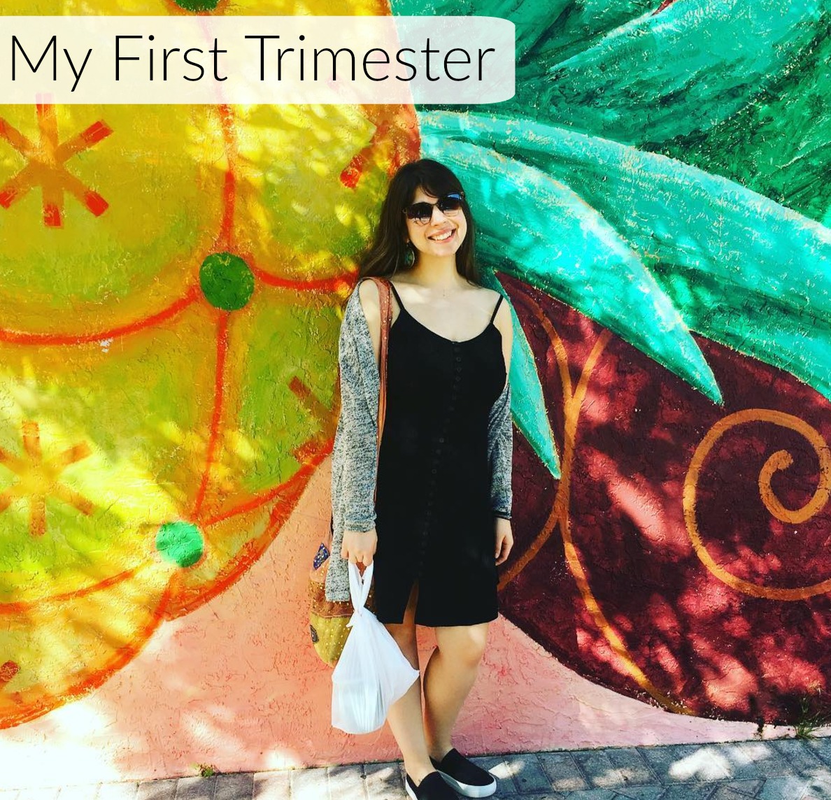 My First Trimester