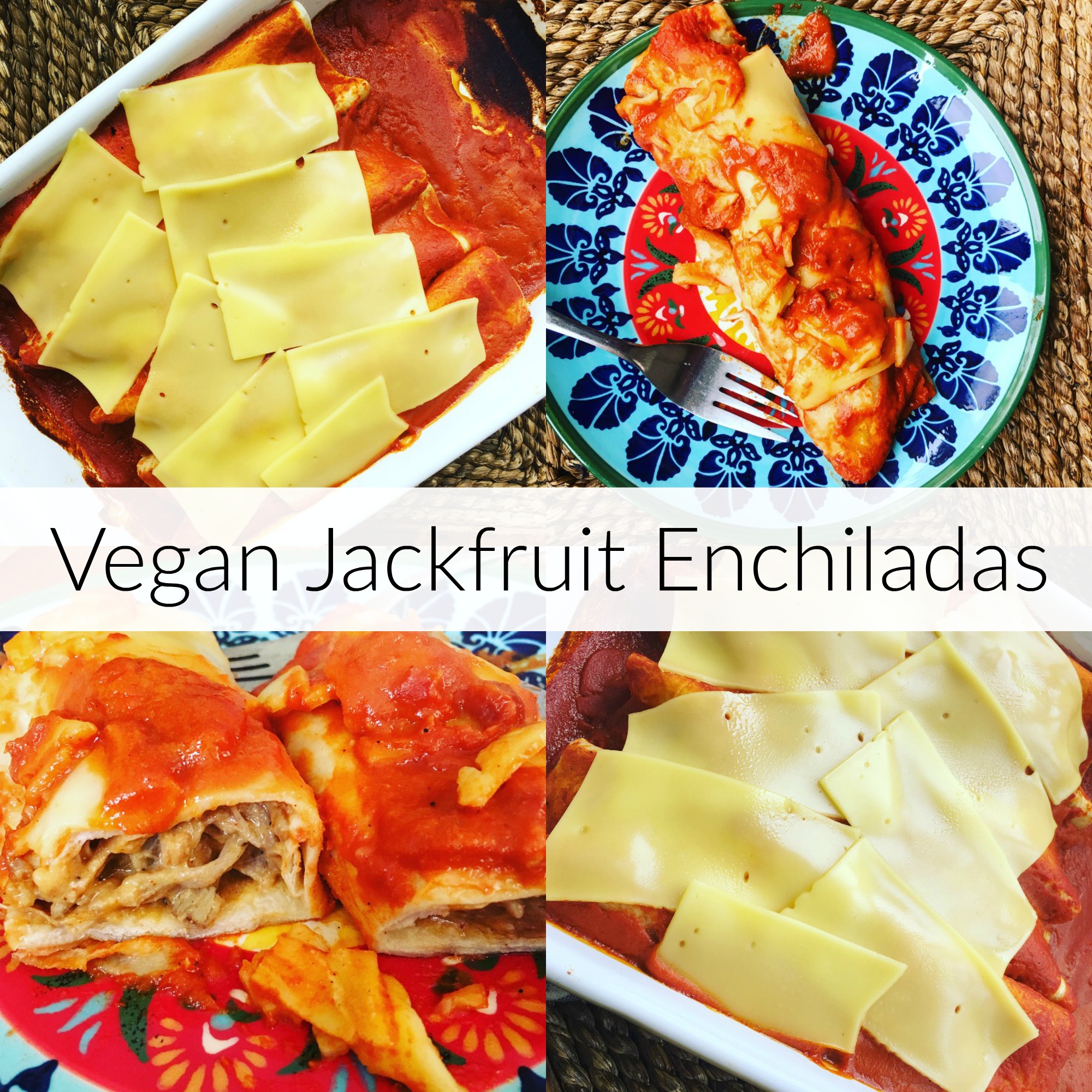 Vegan Jackfruit Enchiladas Recipe