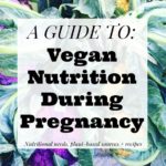 A Guide to Vegan Nutrition During Pregnancy