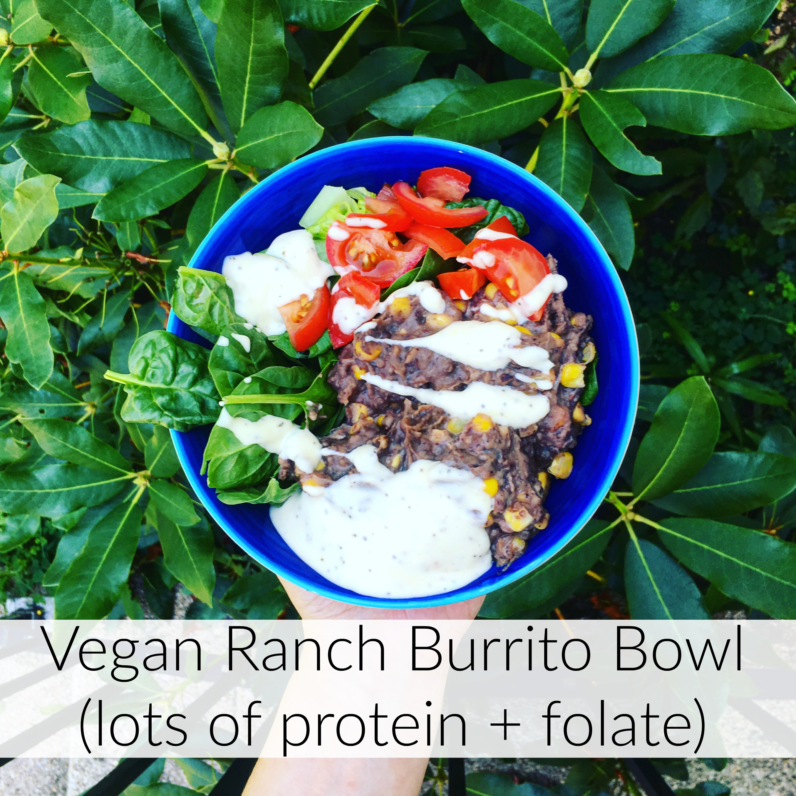 Vegan Pregnancy Burrito Bowl