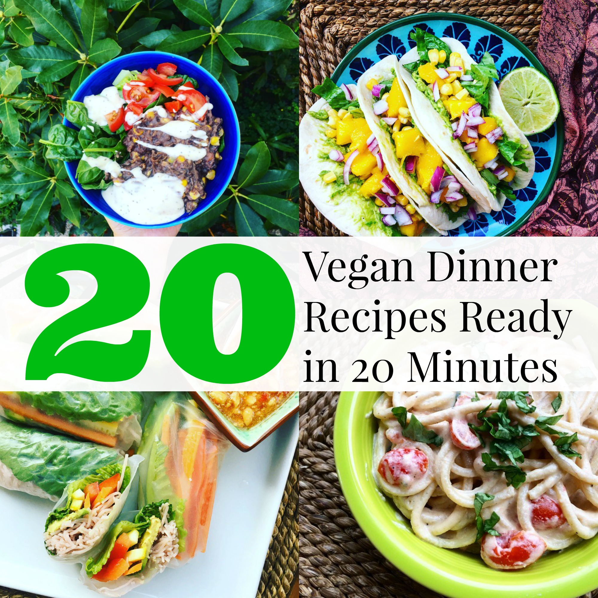 20 Vegan Dinner Recipes Ready In 20 Minutes