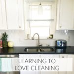 Learn to Love Cleaning Tips