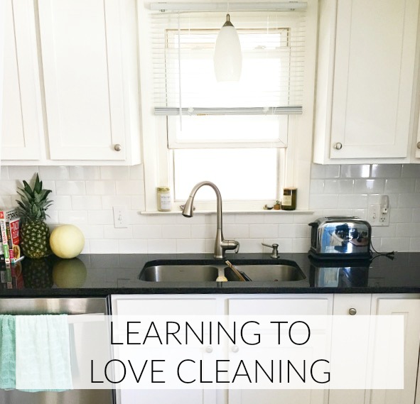 Learn to Love Cleaning Tips