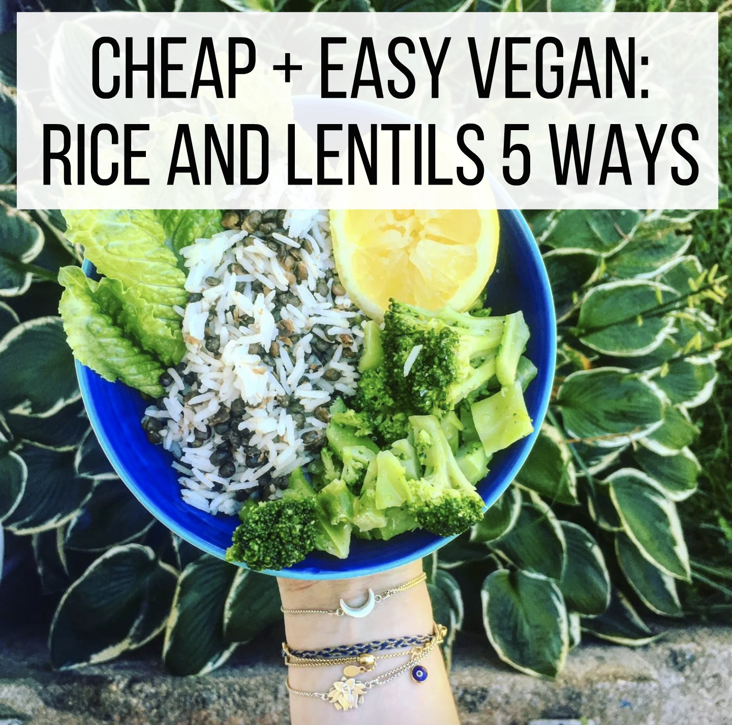 Cheap + Easy Vegan: Rice and Lentils 5 Ways