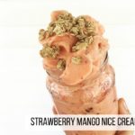 Strawberry Mango Nice Cream