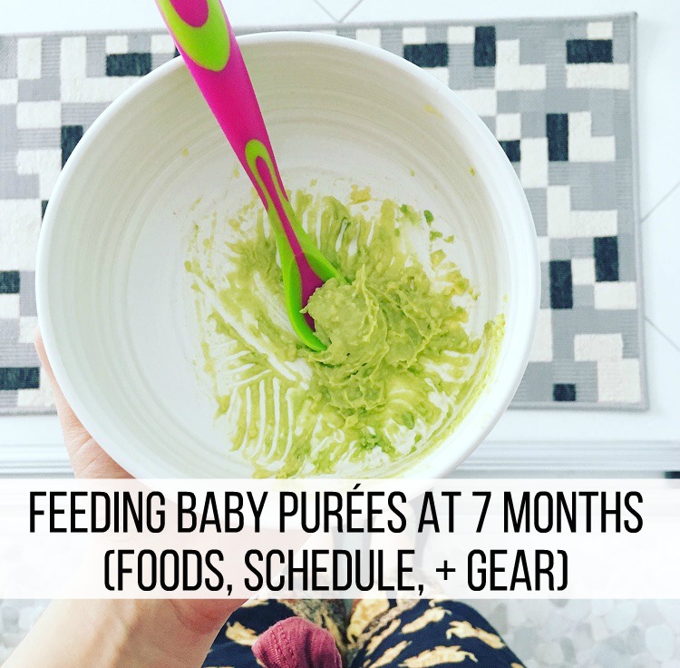 Feeding Willow at 7 Months (Foods, Schedule, + Gear)