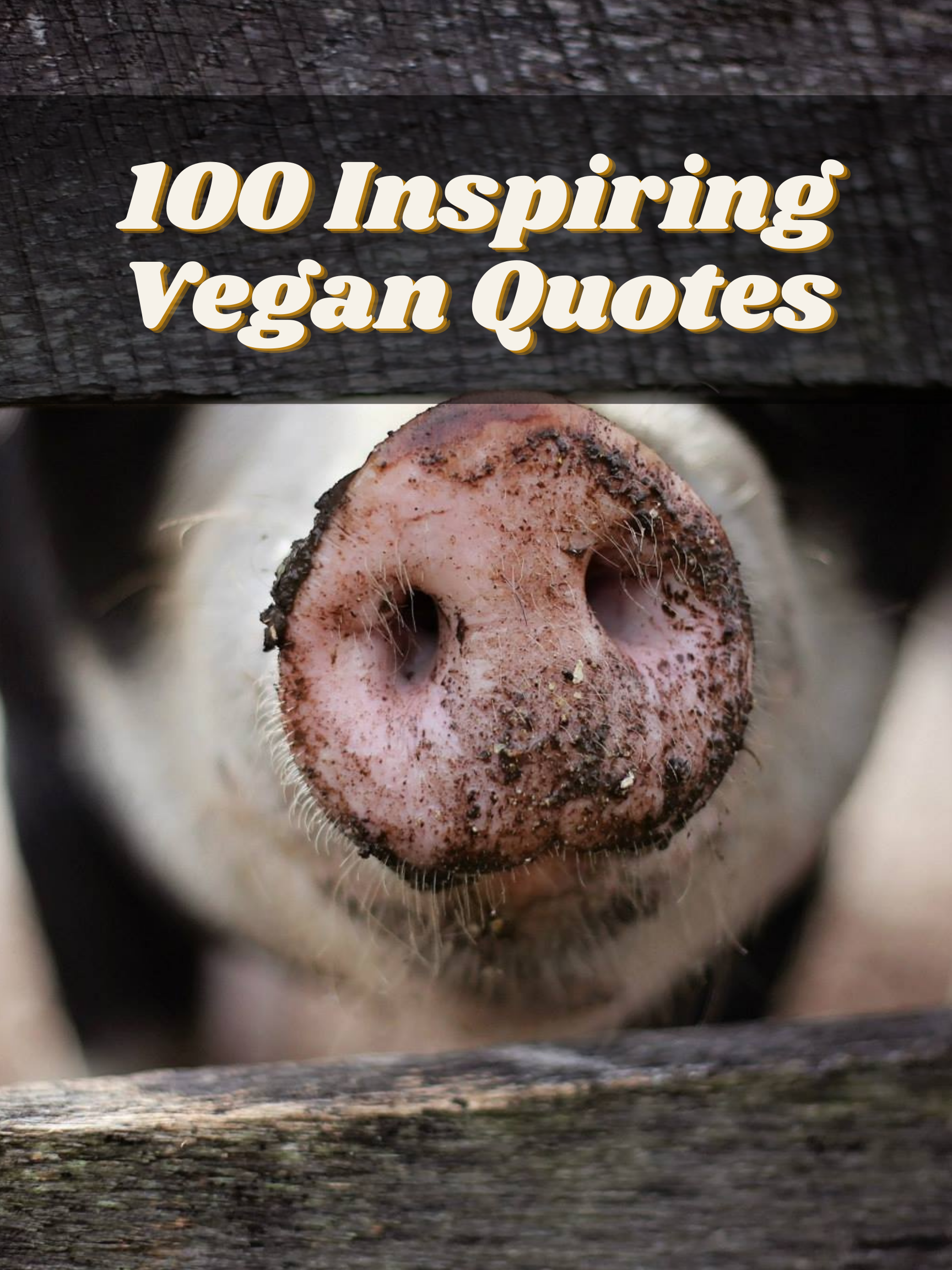 Vegan Vegetarian Quotes