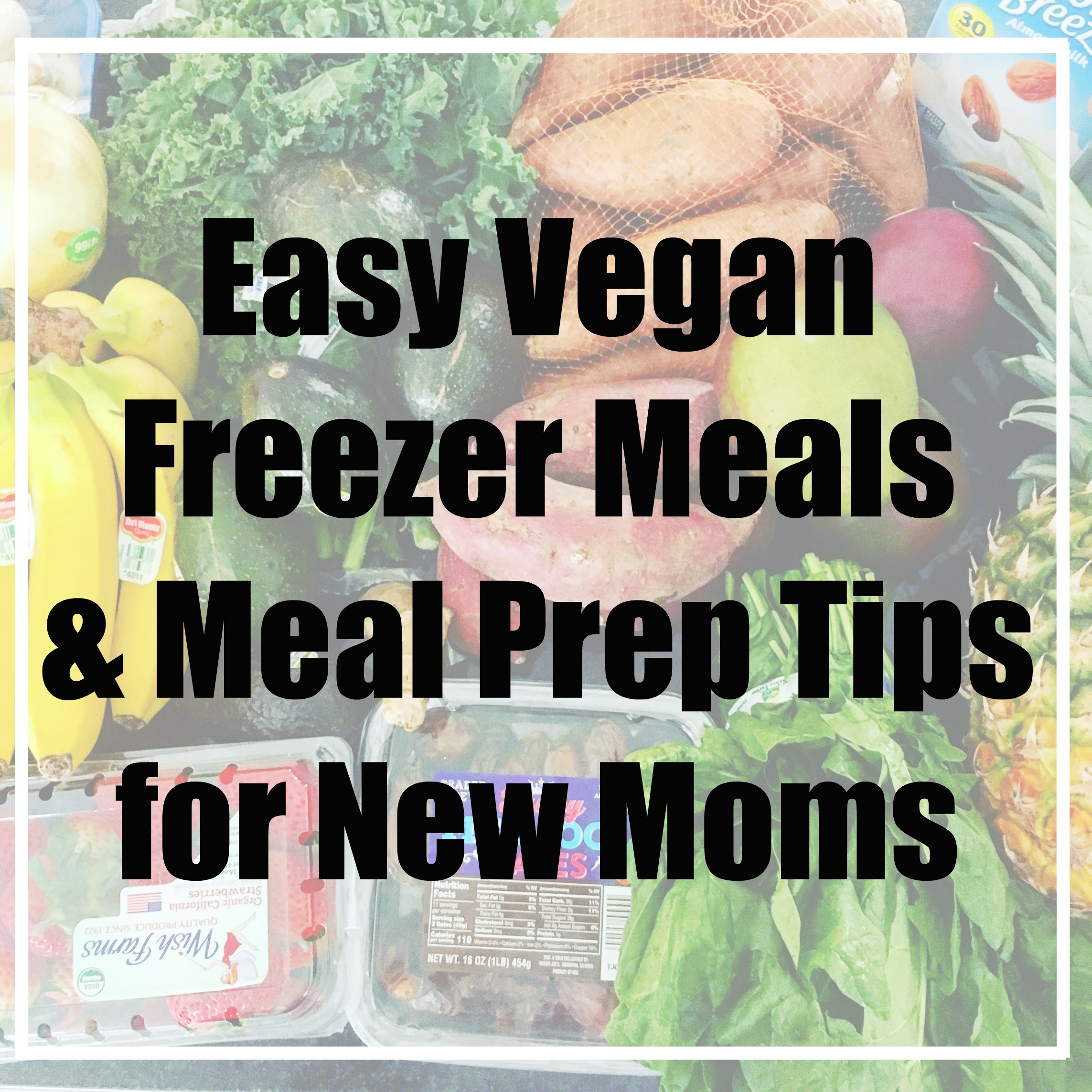Easy Vegan Freezer Meals and Meal Prep Tips for New Moms