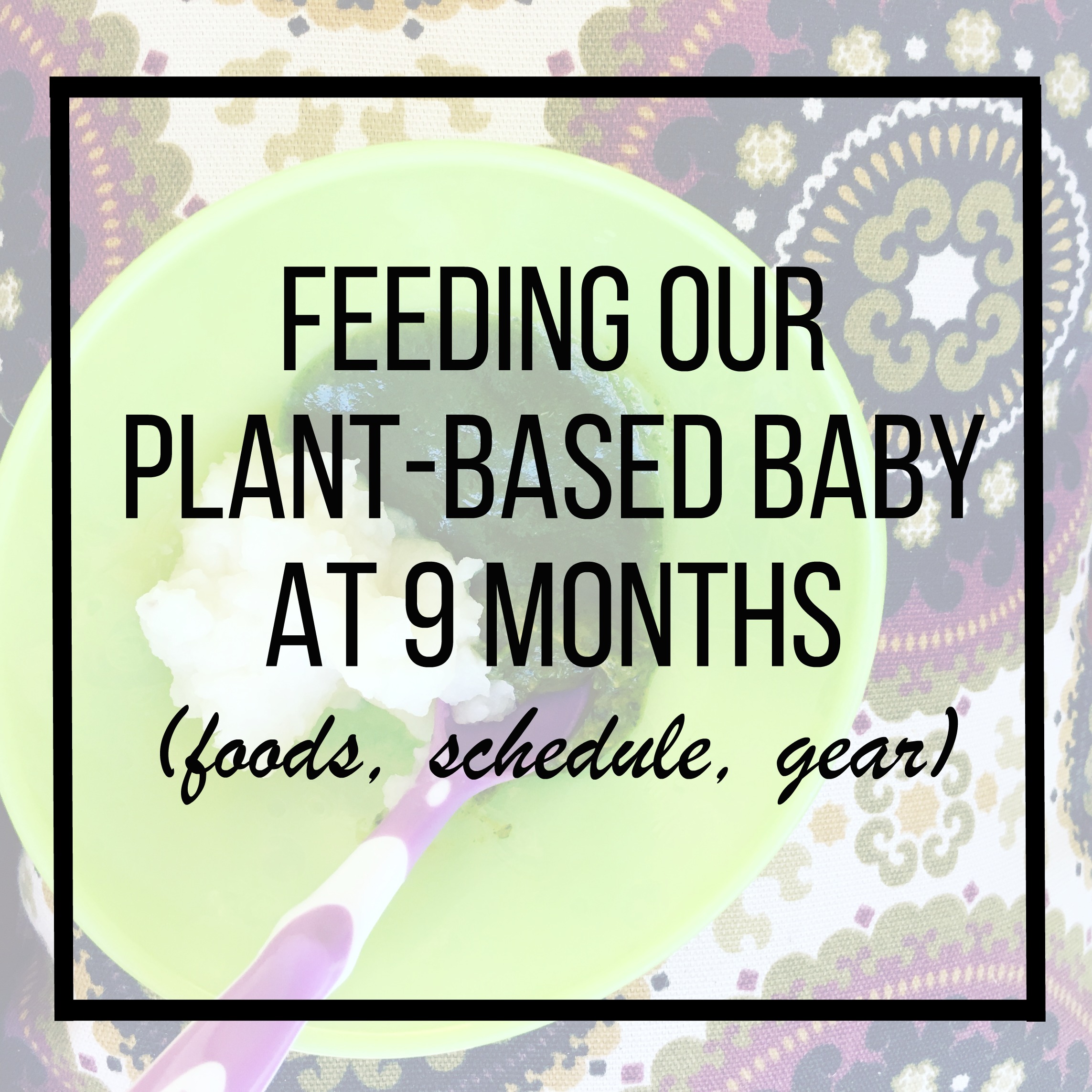 feeding our plant-based baby at 9 months