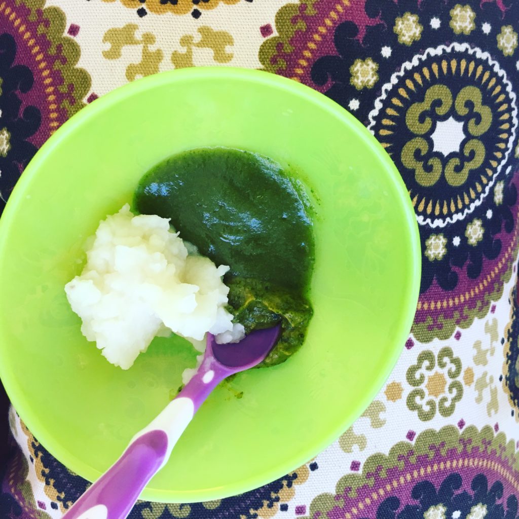 Feeding a Plant-Based Baby Meal Ideas