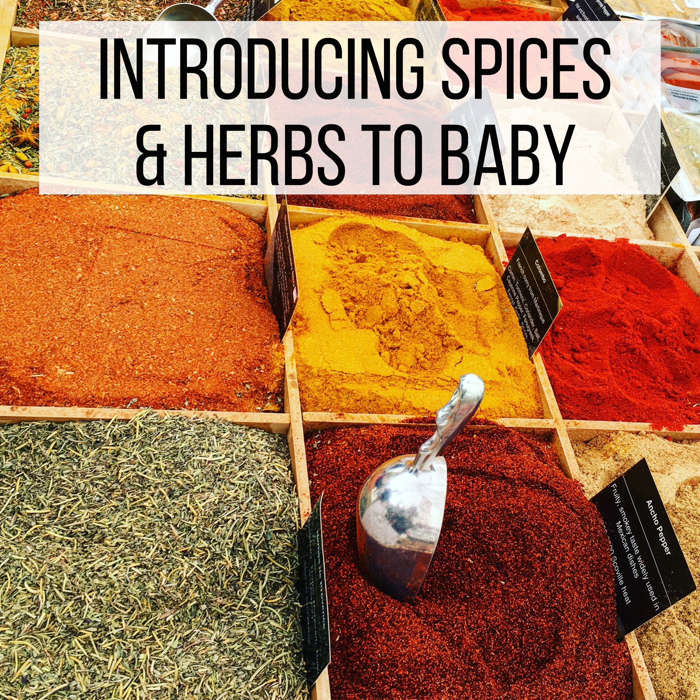 Introducing Spices and Herbs to Baby