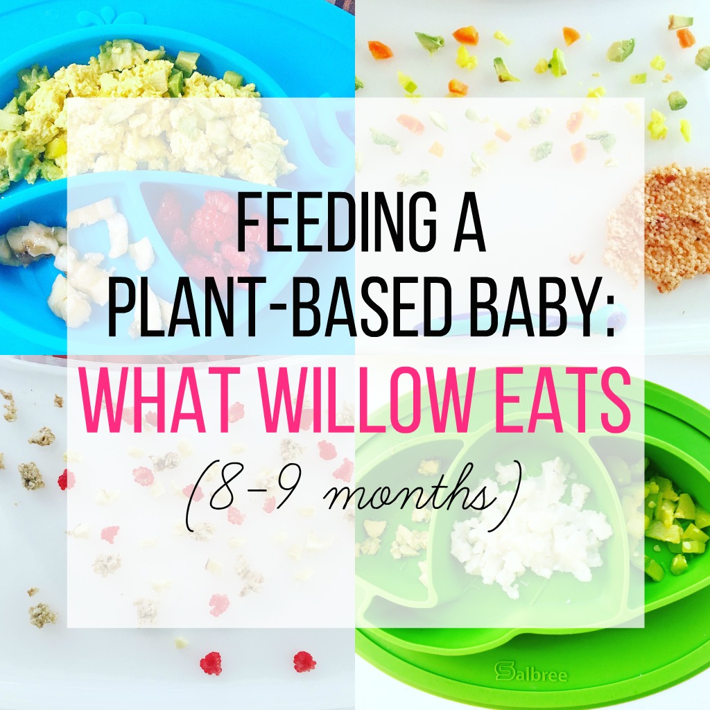 Feeding a Plant-Based Baby Meal Ideas