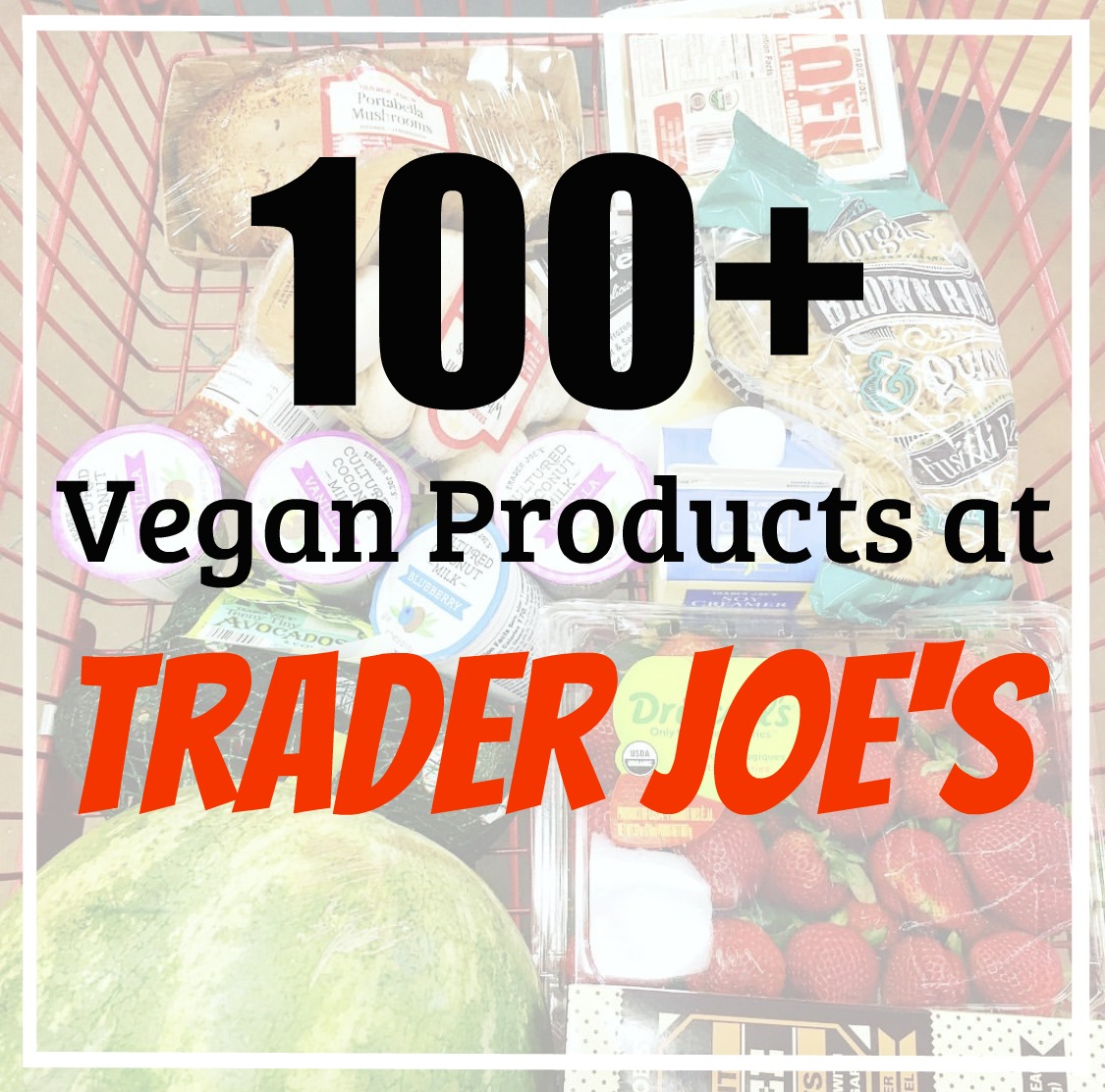 100+ Vegan Products at Trader Joe's