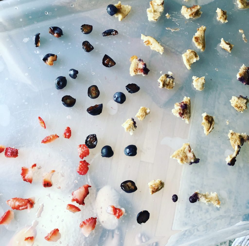 Feeding a Plant-Based Baby