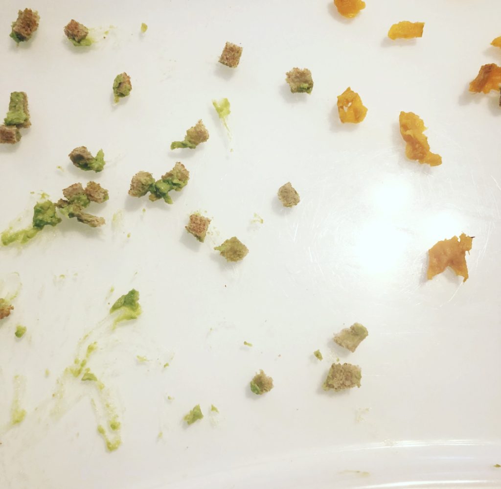 Feeding a Plant-Based Baby
