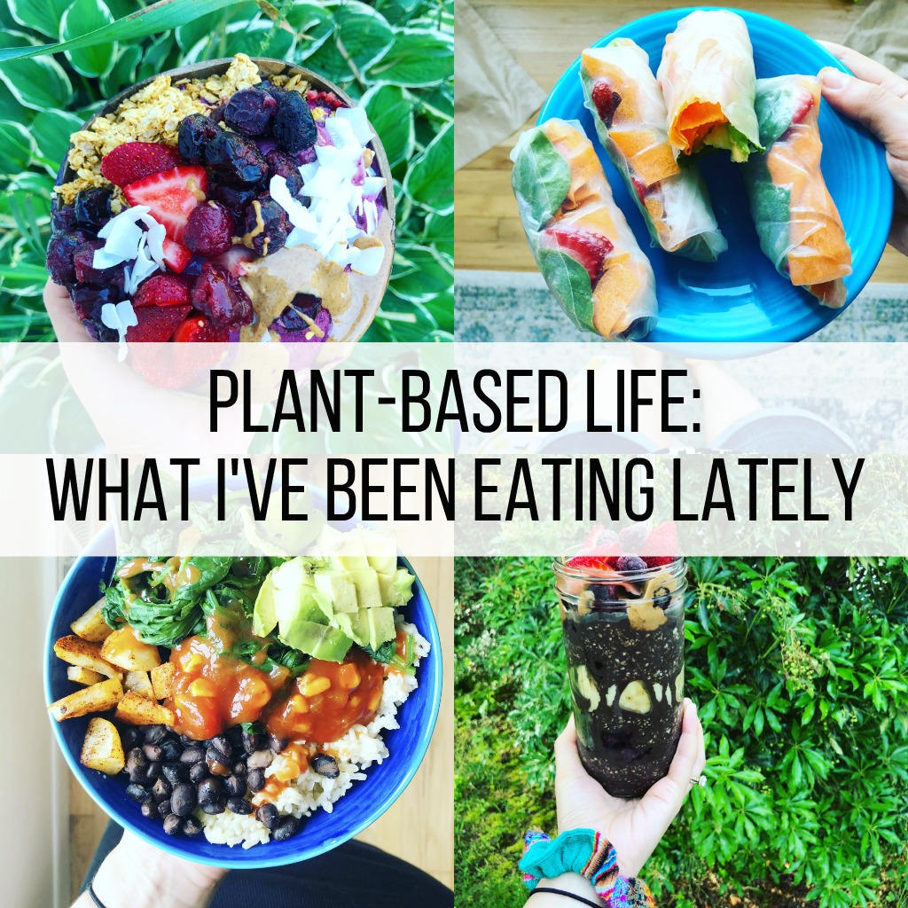 Plant-Based Life: What I've Been Eating Lately a