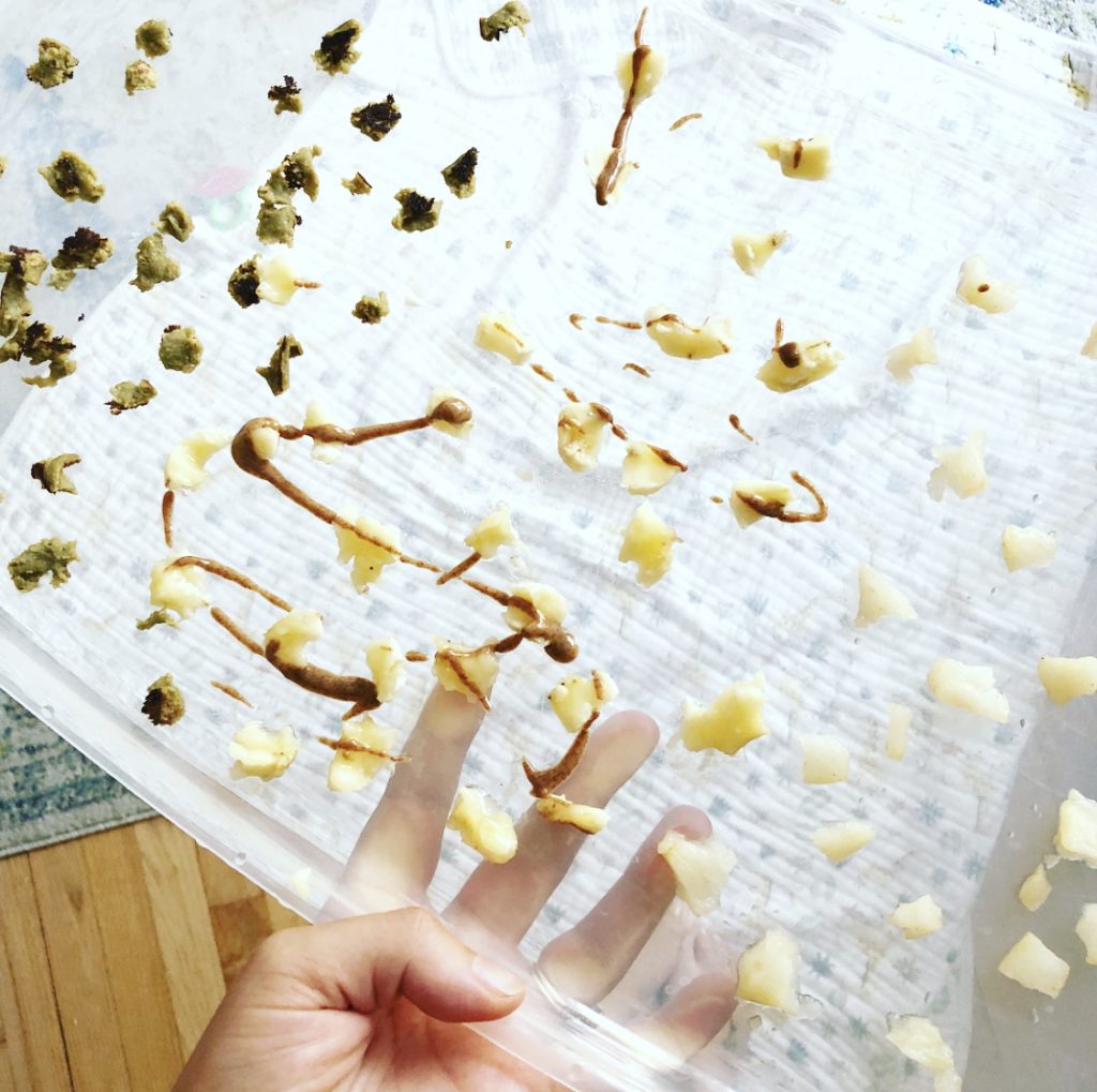 Feeding a Plant-Based Baby