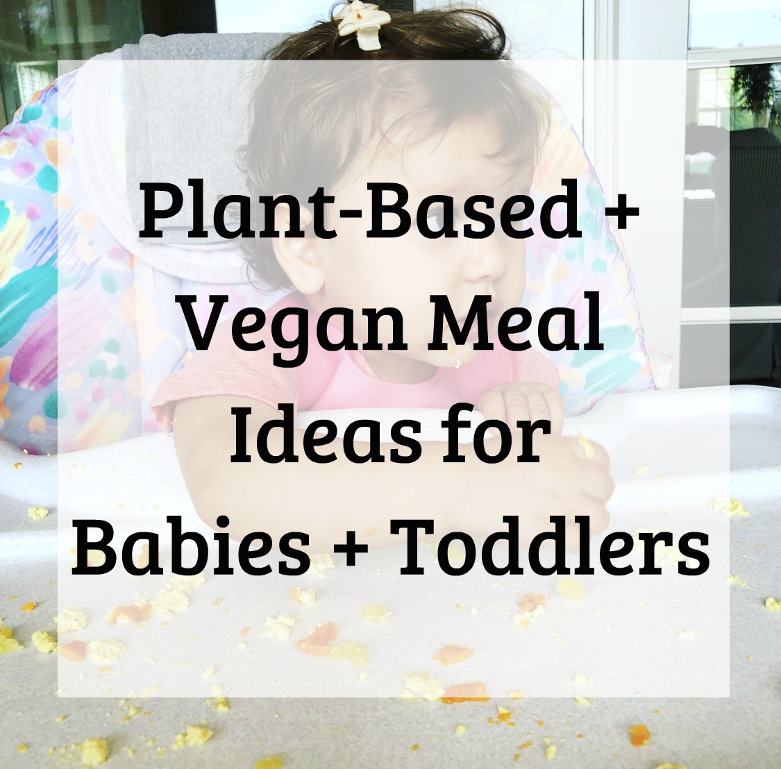 Plant-Based + Vegan Meal Ideas for Babies + Toddlers