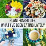 Plant-Based Life: What I've Been Eating Lately