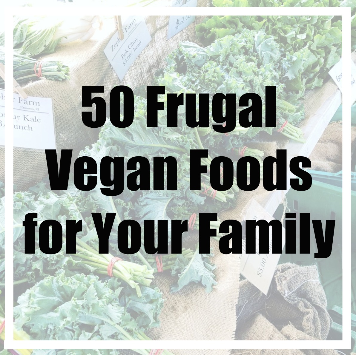 50 Frugal Vegan Foods for Your Family