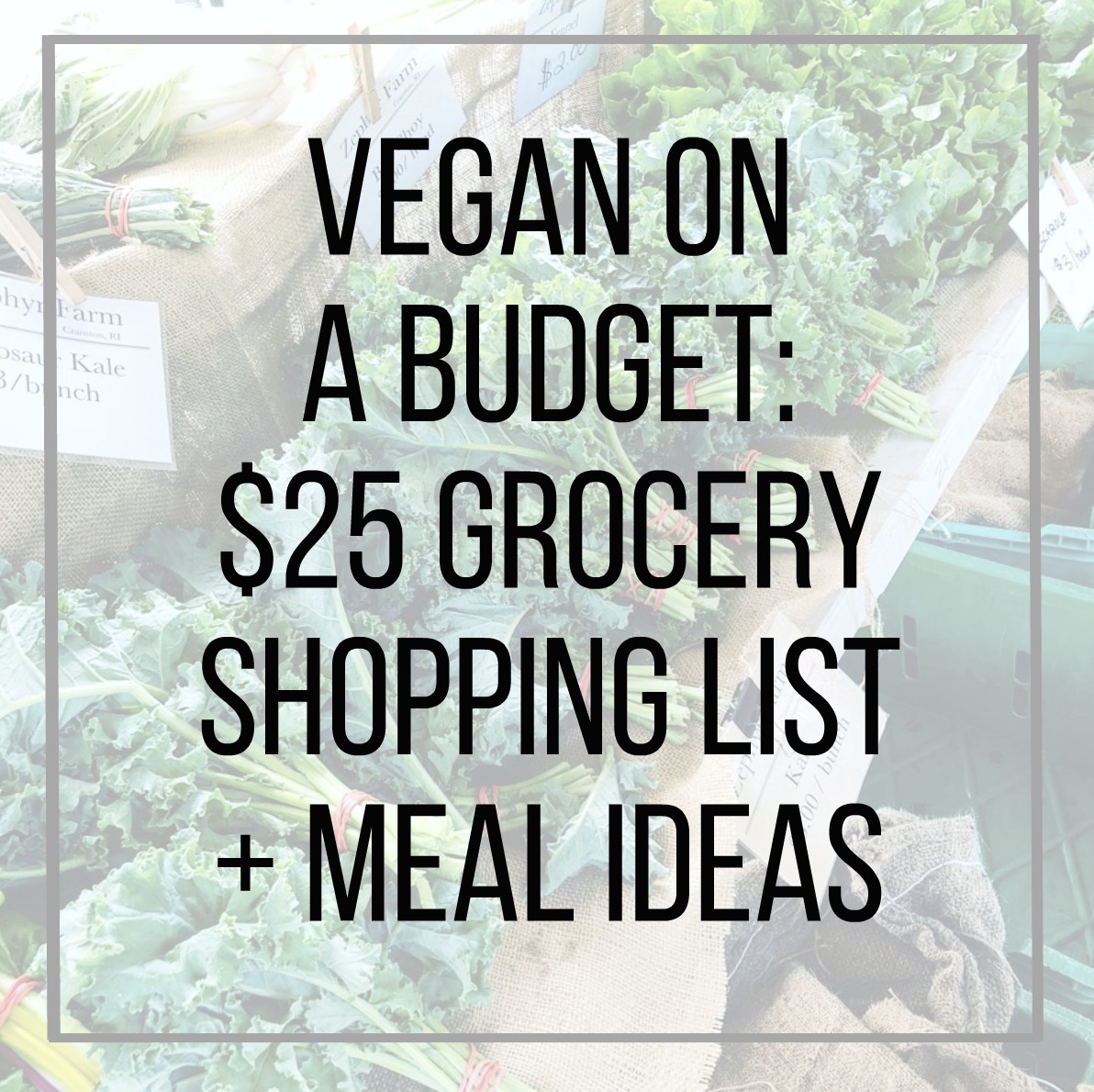 Vegan on a Budget: $25 Grocery Shopping List + Meal Ideas