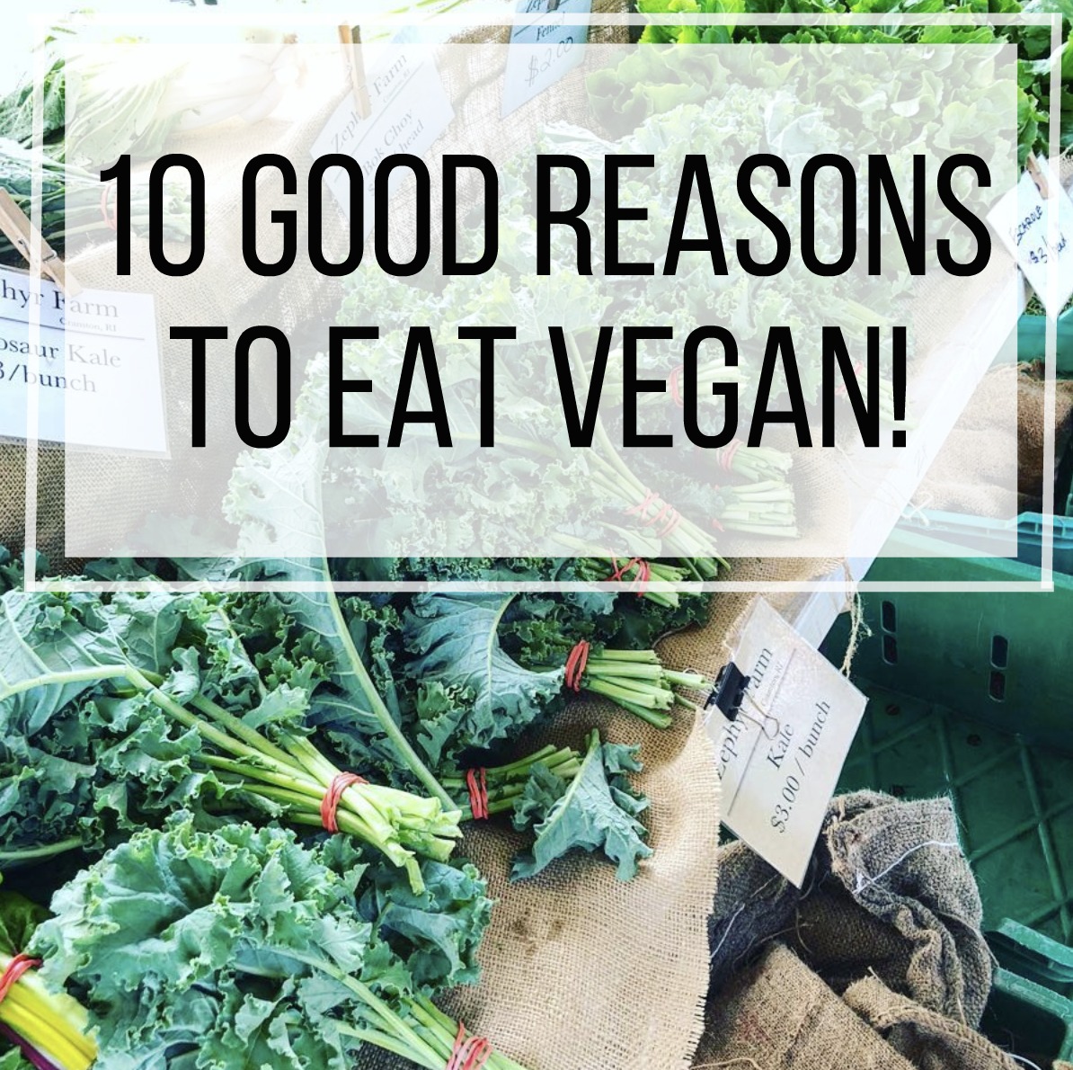 10 Good Reasons to EAT VEGAN!