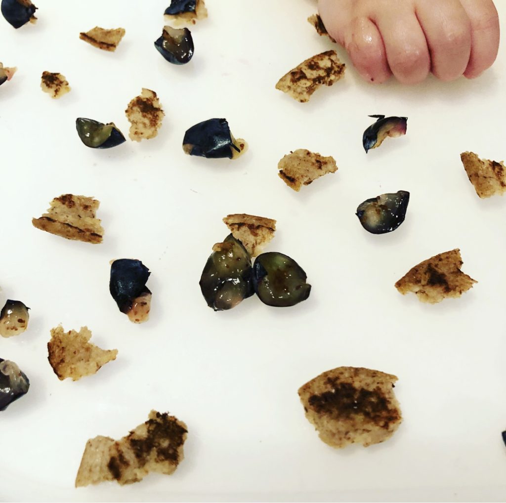 Feeding a Plant-Based Baby