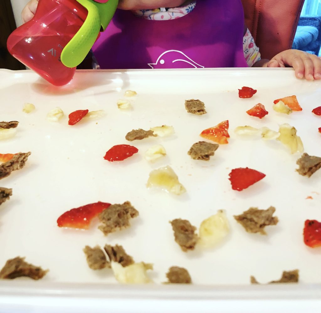 Feeding a Plant-Based Baby