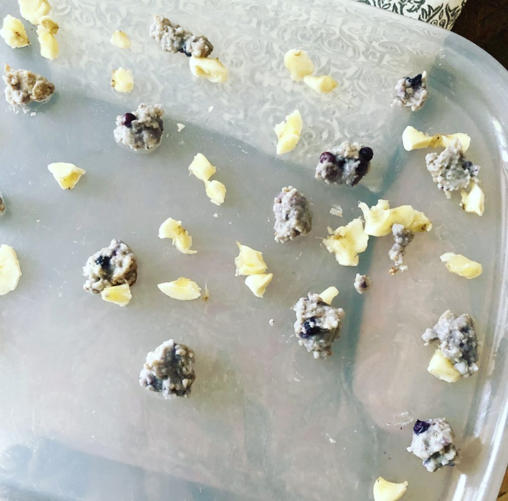 Feeding a Plant-Based Baby