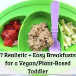 7 Realistic + Easy Breakfasts for a Vegan/Plant-Based Toddler