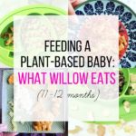 Feeding a Plant-Based Baby