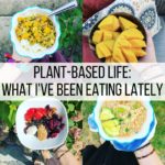 Plant-Based Life: What I've Been Eating Lately