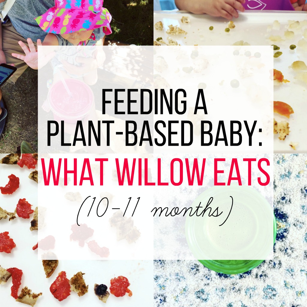 Feeding a Plant-Based Baby: What Willow Eats (10-11 months)