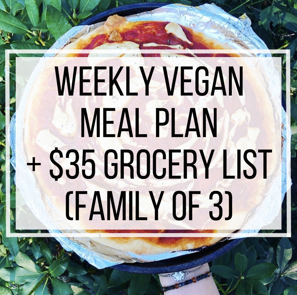 Weekly Vegan Meal Plan + $35 Grocery List (Family of 3)