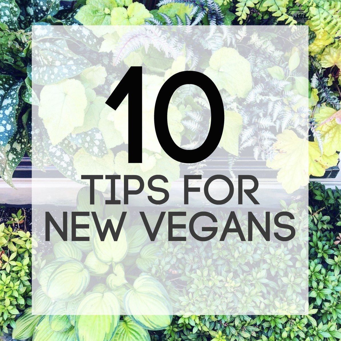 10 Tips for New Vegansa