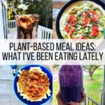 Plant-Based Meal Ideas: What I've Been Eating Lately