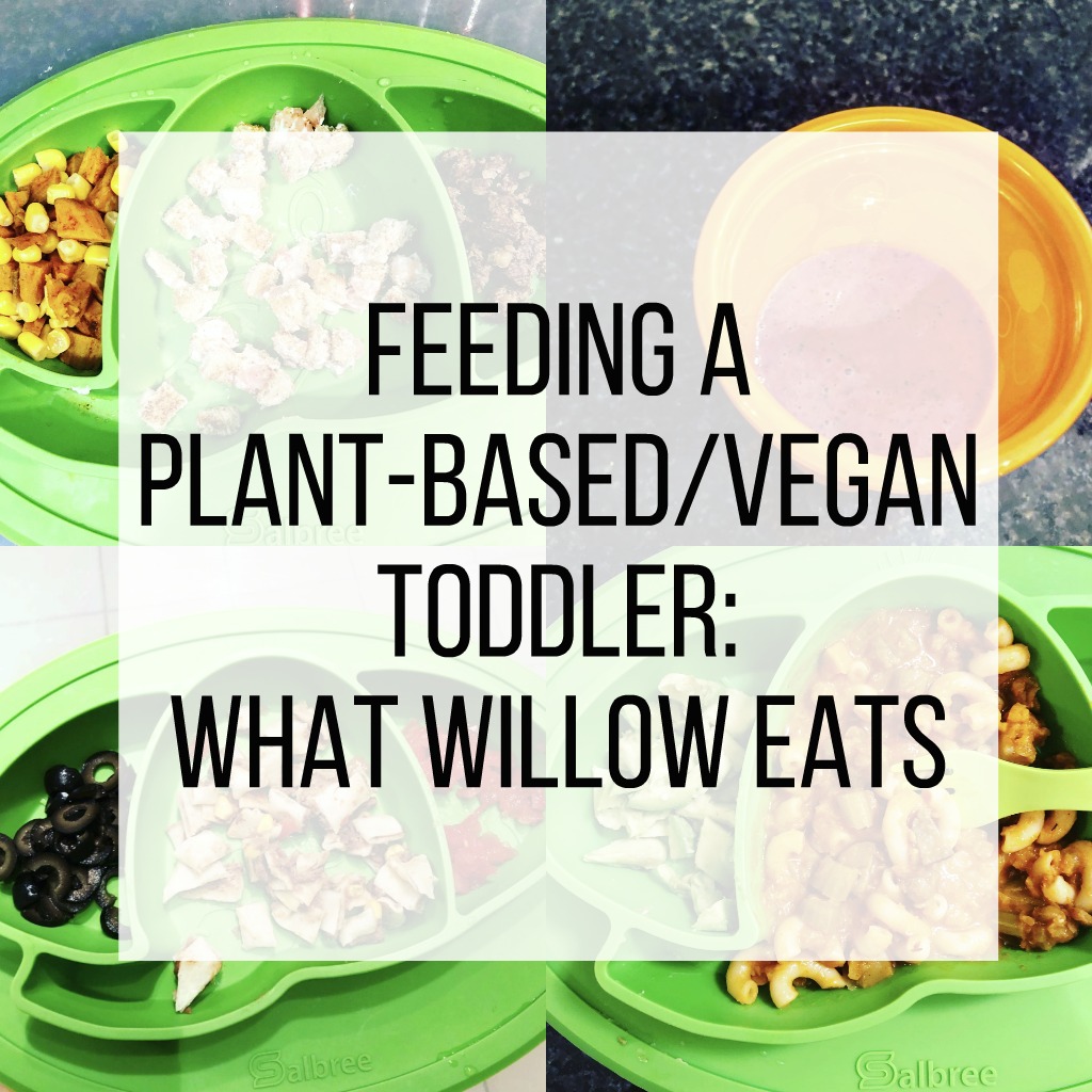 Feeding a Plant-Based Toddler: What Willow Eats