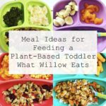 Feeding a Plant-Based Toddler