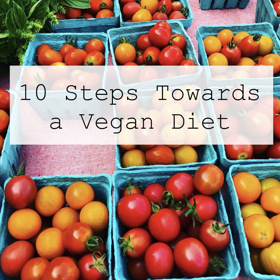 10 Steps Towards a Vegan Diet
