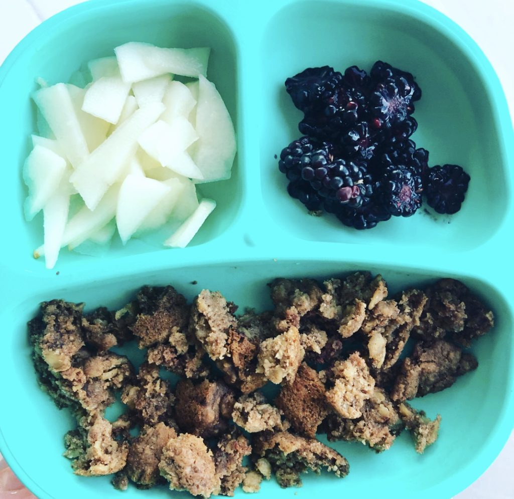 Feeding a Plant-Based Toddler