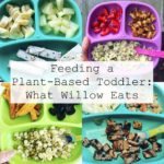 Feeding a Plant-Based Toddler: What Willow Eats