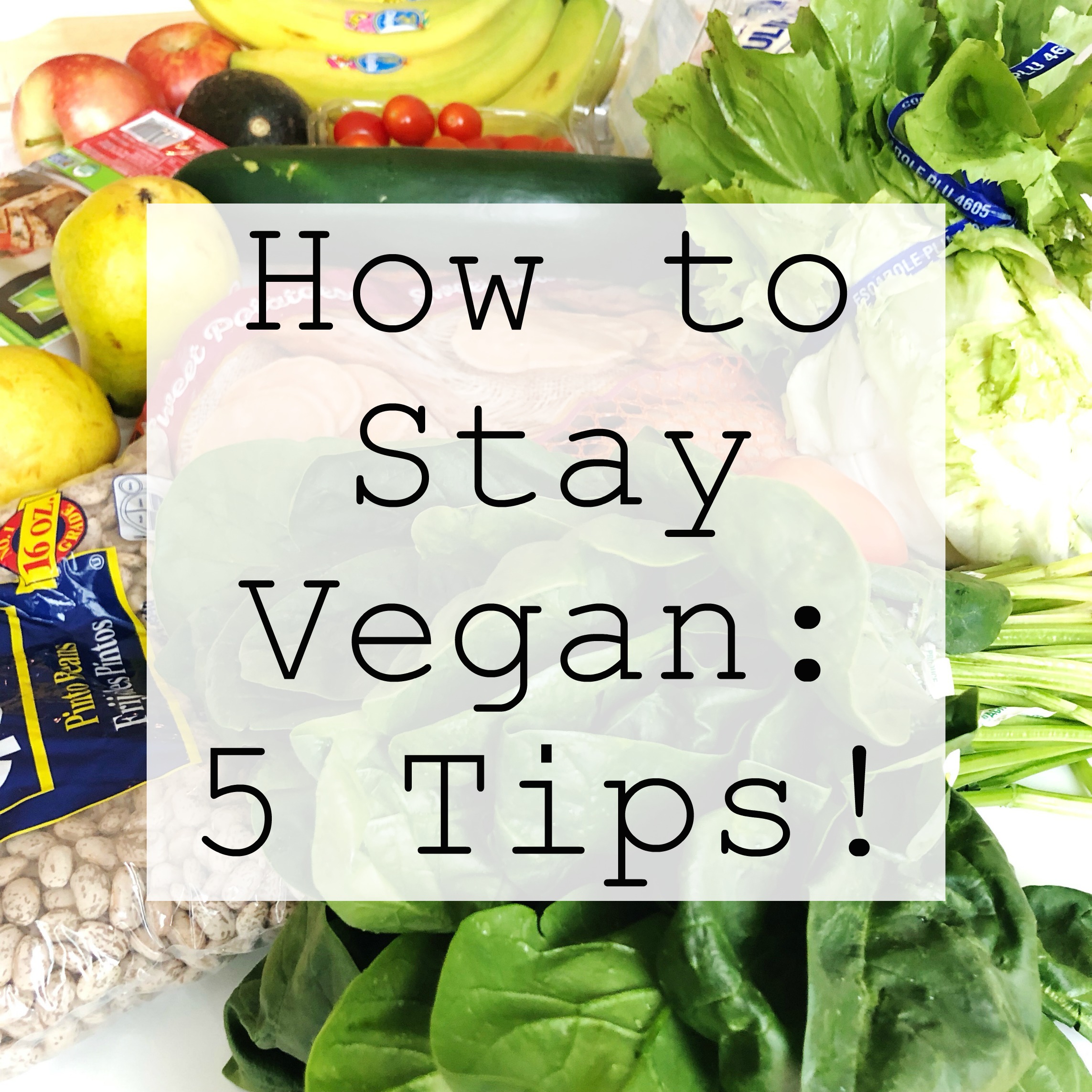 How to Stay Vegan: 5 Tips